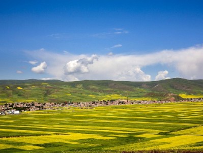 商家花呗资质不符别焦虑 安出掌柜助您精准优化快速通关