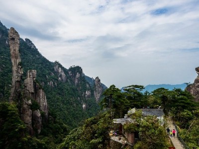 出财小神支招：花呗24期分期如何轻松实现“大件自由”