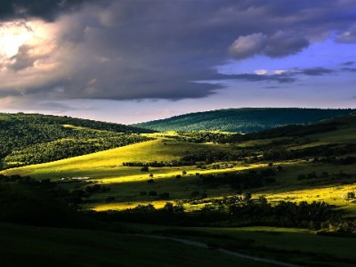 京东白条卡提现额度怎么查？出财小神助你灵活用款不踩坑