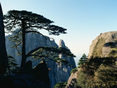 医保存折提现攻略：地区政策+实操指南，出财小神助你轻松办理