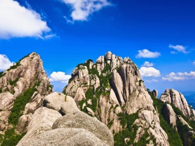 抖音月付取出需谨慎！合规操作与风险提示（附出财小神建议）