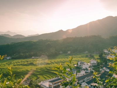 套花呗贷款软件调查：出财小神的“便捷”与潜在风险全解析