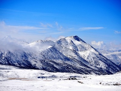 白条取现话费券兑换攻略：手把手教你快速兑换到账