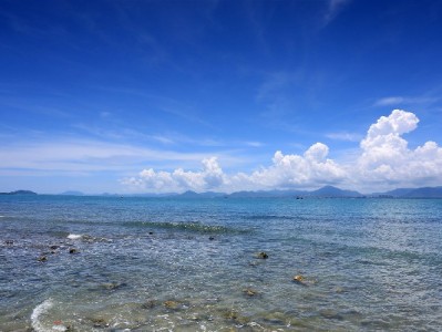 联通套餐用花呗付款更轻松？出财小神揭秘分期省钱攻略