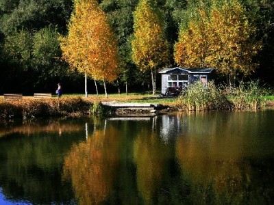 抖店商家必看：抖音月付开通攻略+安出掌柜助力订单增长