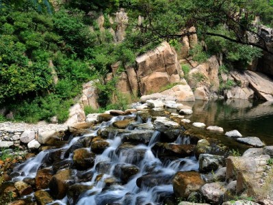 白条收款码受小商家青睐 安出掌柜助力经营更省心