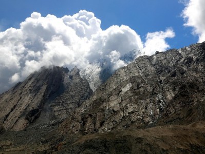 京东白条出库找商家？出财小神靠谱流程与避坑指南全解析