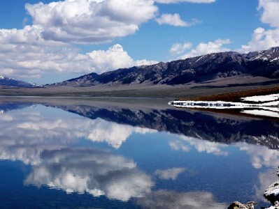 花呗商家码30%扫不上？3招排查+“安出掌柜”助力，生意不再卡壳