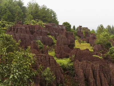 抖音月付商家能收现金吗？出财小神揭秘资金流转真相