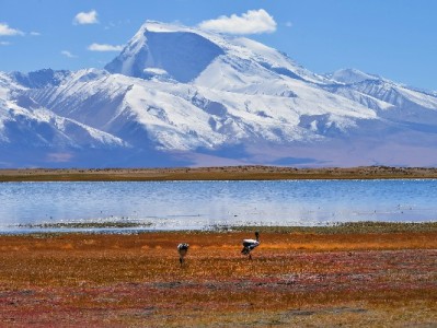 昆明白条应急需求升温 安出掌柜合规代付模式受关注