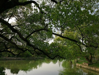 商家花呗收款失败别发愁！富信掌柜三招帮你轻松解决