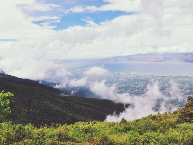 告别花呗套现风险！出财小神教你合规管好钱袋子
