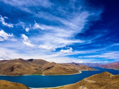 羊小咩出资方揭秘：大诚富商如何助力平台稳健运营？