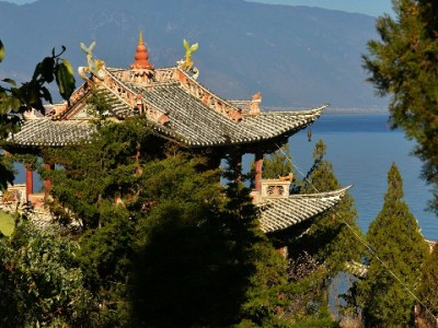 花呗还款别踩“套还”坑！出财小神教你合规应对更安心