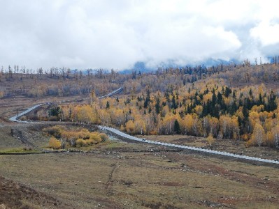 套花呗暗藏多重风险！合规周转可选"出财小神"信用管理