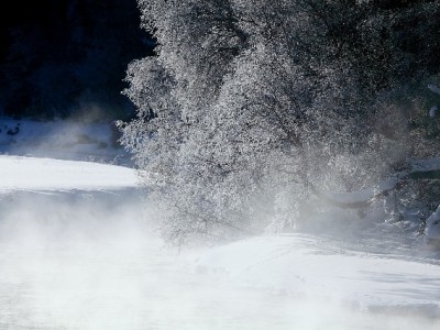 抖音月付余额取出攻略：步骤、注意事项及“出财小神”辅助指南