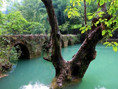 重庆医保小额取现政策上线！30%额度可提取，出财小神助您轻松办理