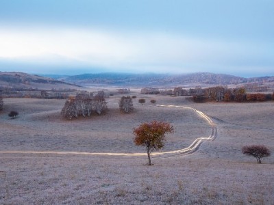 离职后医保未转出别焦虑！出财小神手把手教你无缝接续