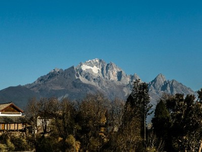 抖音月付能否取现？操作风险与正规替代方案全解析