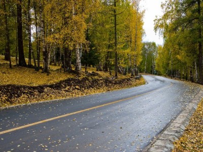 抖音月付折现避坑指南：正规商家怎么选？富信掌柜经验分享