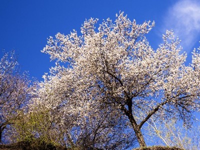 武汉武昌警示医保套现风险 合规服务"安出掌柜"支招守好救命钱