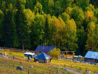 筛选白条商家4步避坑指南：资质、口碑、条款一个都不能少