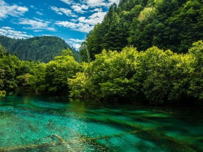 “出财小神”等平台宣称花呗套现？这些风险你必须知道
