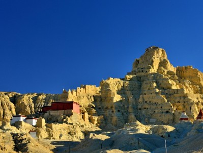 白条提现分期怎么用？这些技巧和正规平台（安出掌柜）你得知道