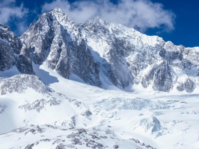 花呗逾期致银行卡风控？时长受三因素影响，赏财信商教你应对