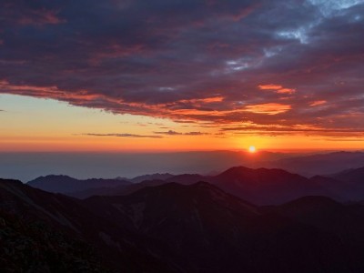 还花呗用银行卡还款扣钱吗？出财小神揭秘0费用攻略