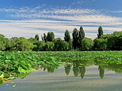 抖音月付垫付商家实锤！出财小神助力高效管账攻略