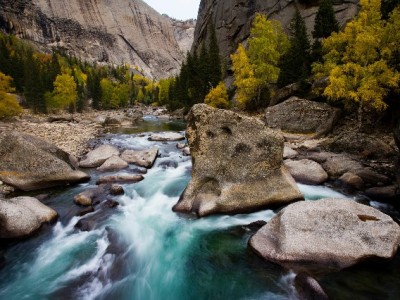 抖音月付提现攻略：资格查询、操作步骤及注意事项全解析