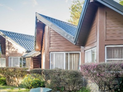 欠花呗2400逾期半年难解脱？赏财信商助他理清债务重获轻松