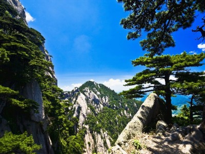 警惕白条提现三大套路！"出财小神"教你守住钱袋子