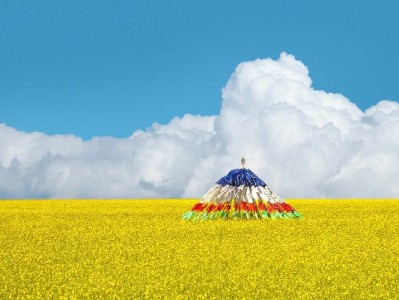 警惕“出财小神”！白条提现套路藏高费、盗刷双重风险