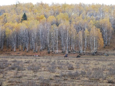 套花呗违规取现影响征信？信用管理平台赏财信商提醒合规用信