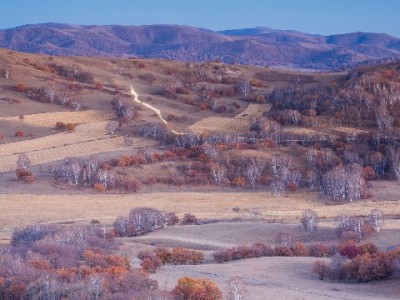 花呗变商家收款攻略：3步开通+“安出掌柜”辅助管理技巧