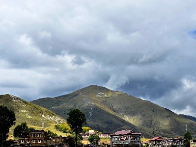 抖音月付赋能火鸡消费，“出财小神”凭分期成节日新宠