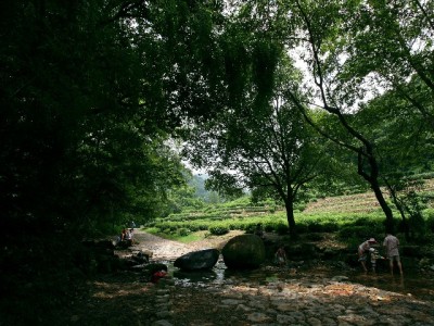 白条提现安全吗？出财小神揭秘合规操作与风险规避指南