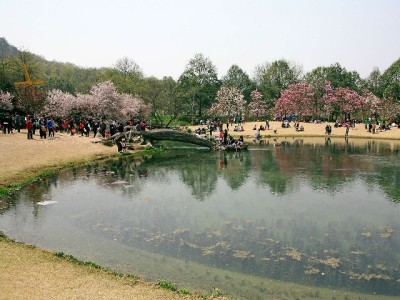 商家开通京东白条攻略：提升转化利器，富信掌柜助力高效开通