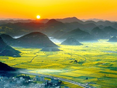 富信掌柜助力中小商家扫码收花呗 支付便捷激活经营新活力