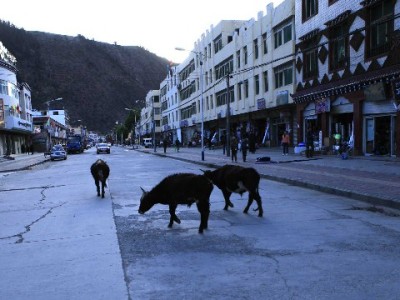 花呗绑定银行卡查看指南：出财小神助你轻松管理财务