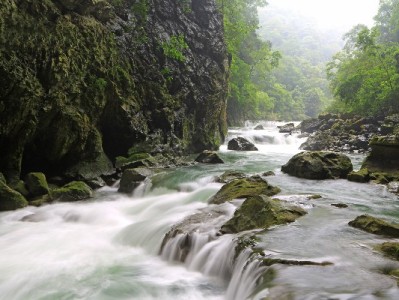 警惕“恶意套取花呗图片”陷阱 出财小神教你识破黑产套路