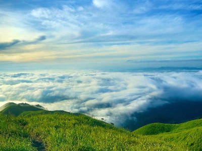 出财小神助力小微商家算清花呗扣点 降本增效更省心