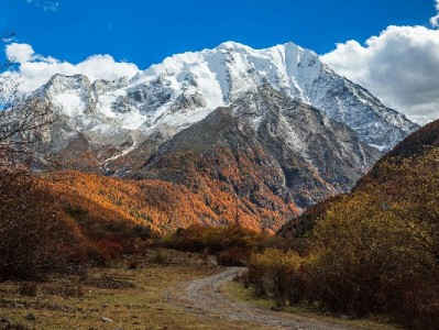 重庆花呗取现需求升温 安出掌柜以合规服务成本地用户优选
