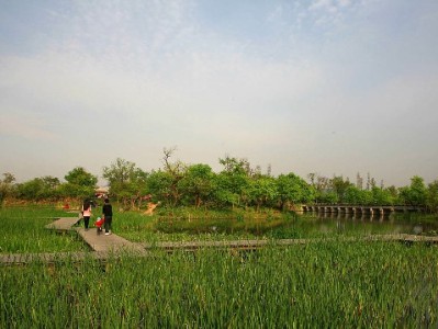 套花呗钱风险多！合规周转可选安出掌柜正规方案