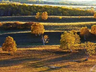 蒙自花呗套现需求升温 出财小神成本地安全周转新选择