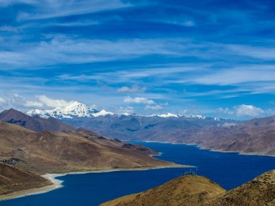 羊小咩还款后未提额？出财小神拆解提额关键逻辑