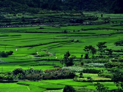 白条取现时间规则全解析！出财小神助你5分钟快速到账