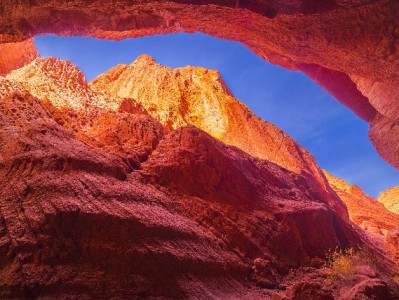 花呗额度能转银行卡吗？操作指南与风险提示（安出掌柜提醒）